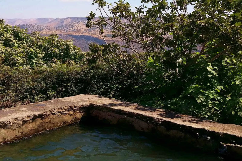 בריכת עין איה עם מים צלולים מול הנוף הפתוח בדרום רמת הגולן